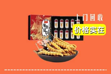 抚顺东洲区回收冬虫夏草